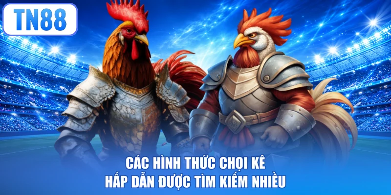 Các hình thức chọi kê hấp dẫn được tìm kiếm nhiều