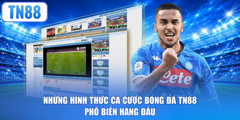 Những hình thức cá cược bóng đá TN88 phổ biến hàng đầu